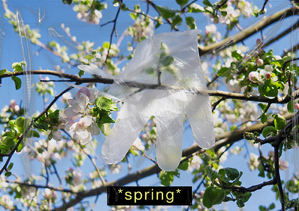*spring*
